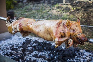 Bir ateşe Kavrulmuş Bütün domuz.