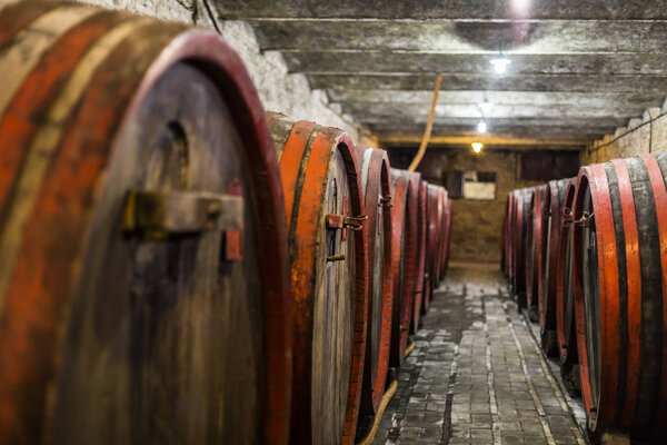 Barrels of wine in old cellar