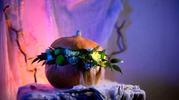 Halloween, lleno de tradiciones navideñas, símbolos y detalles. Arreglo floral sobre la base de la calabaza — Vídeos de Stock