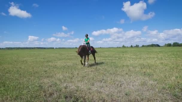 Egy fiatal nő lovagol a zöld mezőn. — Stock videók