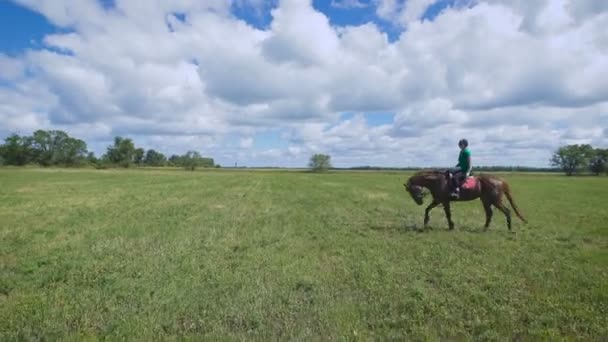 Молода жінка катається на коні на зеленому полі — стокове відео