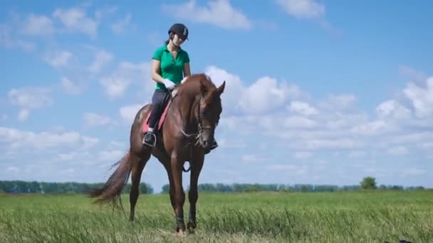 Jovem montando um cavalo no campo verde — Vídeo de Stock