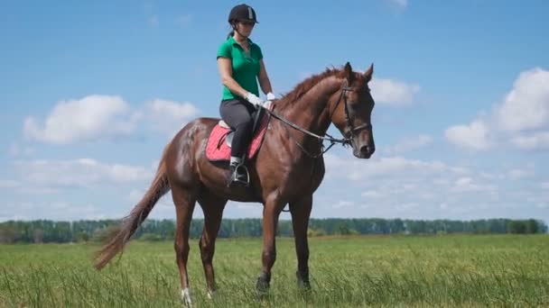 Молодая женщина верхом на лошади по зеленому полю — стоковое видео