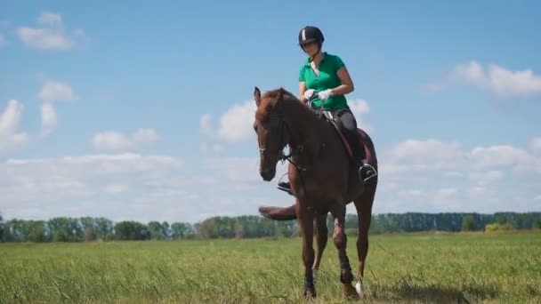 Mujer joven montando un caballo en el campo verde — Vídeos de Stock