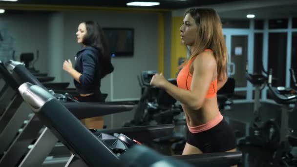 Две здоровые девушки бегут в спортзал — стоковое видео