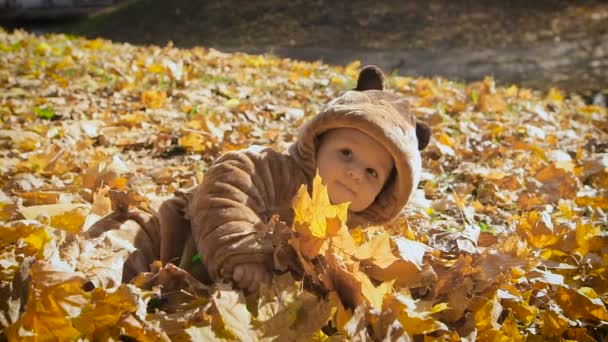 Happy playful child outdoors. Cute kid in bear costume lies in yellow autumn leaves. The little boy the first time in his life sees fall — Stock Video