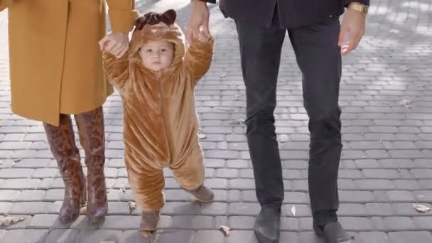 Unga föräldrar promenader med sin baby i parken. — Stockvideo