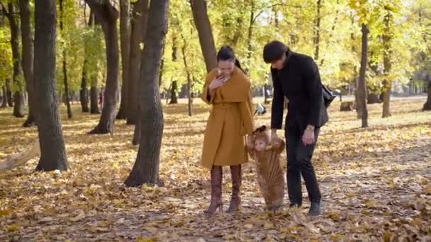 Young family the holidays walking in the autumn forest. — Stock video