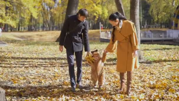 De jongen loopt in het bos met hun ouders. — Stockvideo