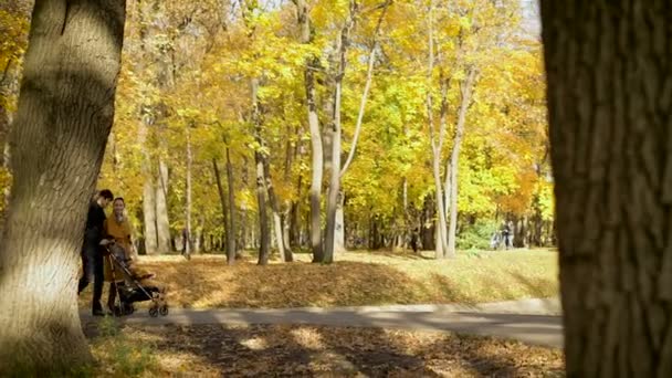 Jeune homme et une femme avec un enfant dans le parc . — Video