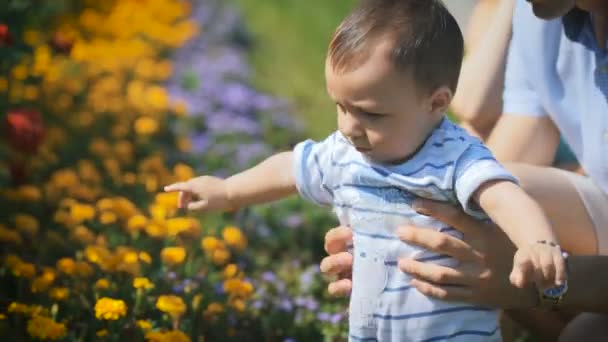 Father holds the child and shows him a flower bed with flowers. — Stock video