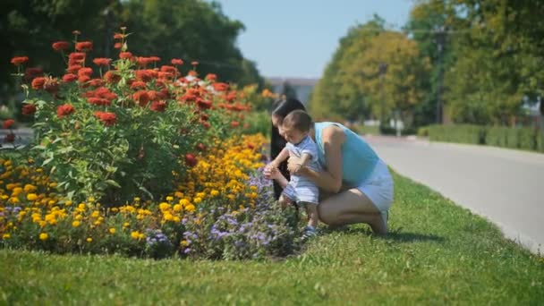 Mãe e criança olhando para flores no canteiro de flores . — Vídeo de Stock