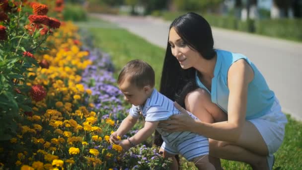 Mom holding the baby while he is touching the flowers. — Stock Video