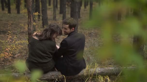 El comienzo del otoño en el bosque. Una pareja joven pasa tiempo en el bosque. Se sientan en el tocón hablando y riéndose entre sí. En este punto, son fotografiados . — Vídeos de Stock