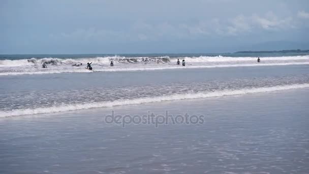 Um grande número de surfistas tentando pegar uma onda ao largo da costa. As pessoas estão surfando em férias e apenas nadando no mar . — Vídeo de Stock