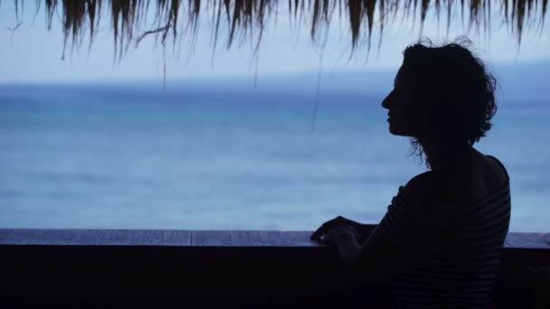 Silueta de una chica que mira a lo lejos contra el océano azul. Mujer joven admira el paisaje tropical resorts y endereza su cabello . — Vídeo de stock