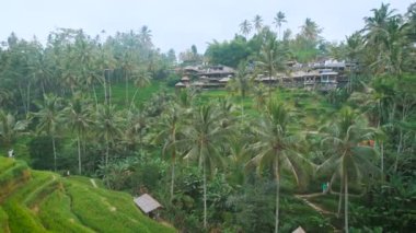 Köy orman yeşil bir tepede kurulmuştur. Birçok küçük ve düşük yan yana güzel bir tropik adada evler. İlginç turistik güzergah.