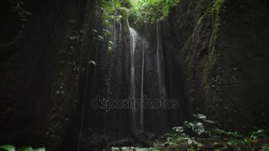 Hangi Falls aşağı, hangi alt kısmında çiçek açan bitkiler üzerinde düşen su sıçramalarına su yuvarlak delik karanlık bir mağarada sakin görünümünü