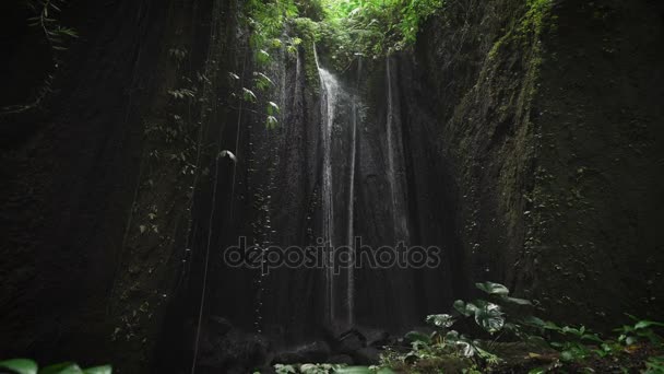 下る、下部に咲く植物の上に落ちて跳ねる水の丸い穴で暗い洞窟の穏やかな眺め — ストック動画