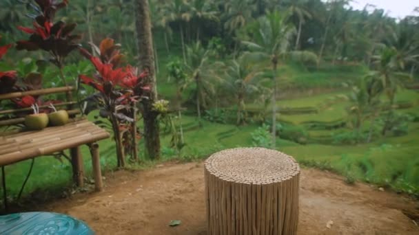 Spännande utsikt över gröna risfält och tropiska trädgård av Bali från observation domstolen med bambu bänk med två kokosnötter på det och stubbe. Terrasserade frodig tropisk vegetation kommer ner steg. — Stockvideo