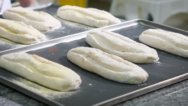 Chef poco a poco espolvorear con polvo de una taza una pantalla de pie sobre un metal trajo la harina de pan, que pronto entrará en el horno — Vídeos de Stock