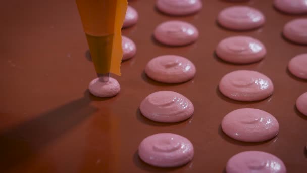 キッチン。フランスのマカロンの準備のプロセス。満たされたペストリーによる袋手袋の女がいっぱいにフランスのデザートの準備のためのフォームとベーキング シート. — ストック動画