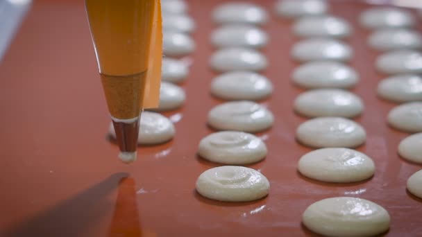 Pasticciere con siringa per pasticceria fa biscotti delle stesse dimensioni prima di cuocere in cucina. Dolce crudo sul ponte. Utensili da cucina per cucinare dolci . — Video Stock