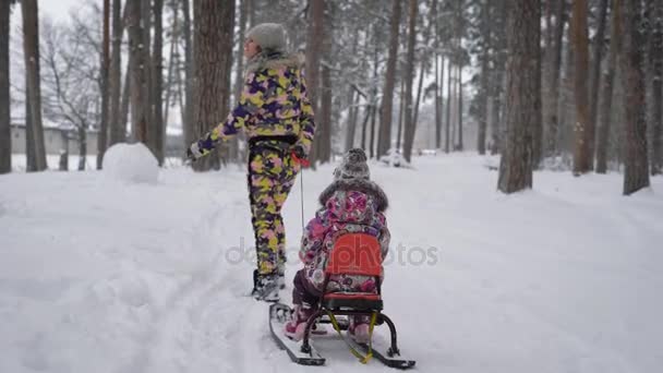 Szczęśliwą matką natrafienia na ścieżkę i ciągnąc sanie z córką w zimowym lesie. Dwa cute siostry spędzają ich wolny czas spaceru na zewnątrz posiadanie zajęć na świeżym powietrzu. — Wideo stockowe