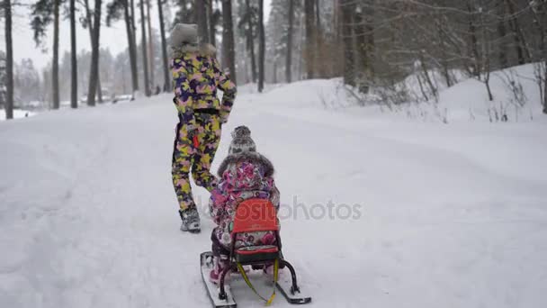 Jovem mãe corre em um parque de pinheiros nevado, segurando corda do trenó, que seu pequeno filho está sentado. Ela olha para trás, certificando-se de que está tudo bem — Vídeo de Stock