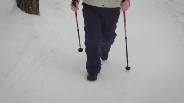 La donna anziana nel bosco invernale. Il pensionato lavora la Finlandia che cammina. Lo scandinavo è molto utile per salute. Il per uno stile di vita sano . — Video Stock