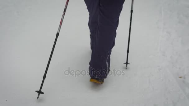 Primer plano de las piernas de una mujer en pantalones negros cálidos y botas pesadas caminando con bastones de esquí en el bosque. Atleta mujer demostrando nordic caminar en el camino en invierno naturaleza al aire libre . — Vídeos de Stock