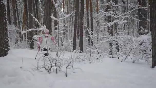 Anciana vestida con ropa deportiva cálida se dedica a caminar nórdico en los bosques nevados al aire libre. Pensionista persiguiendo su tiempo libre vadeando a través de la nieve con palos especiales . — Vídeos de Stock