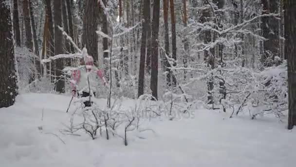 Starsza kobieta, ubrany w ciepłą odzież sportowa jest zaangażowany w Nordic walking po pokrytych śniegiem lasach, na świeżym powietrzu. Emeryt lub rencista, dążenie do ich wolnego czasu brodząc przez śnieg z specjalne kije. — Wideo stockowe