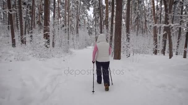 Bosque vista de las mujeres hacia atrás, que se dedica a Deporte paso. Ella entre los árboles altos, en algún lugar de la densa. Posiblemente cerca de las liebres corren. vestidos con ropa deportiva cálida . — Vídeo de stock