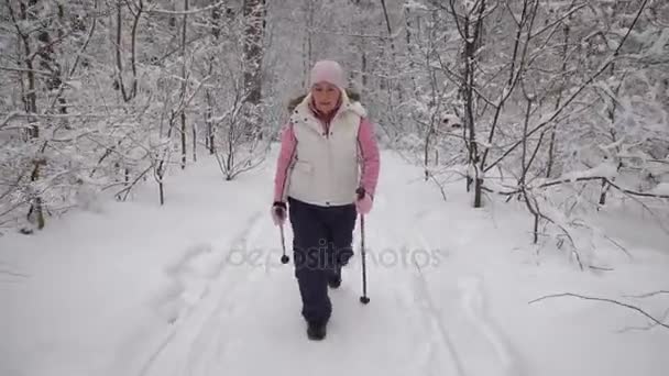 Den äldsta kvinnan spenderar fritiden i trä. Vinter skog. Stöder den fysiska aktivitetsnivån. Pensionären går det skandinaviska steget. — Stockvideo