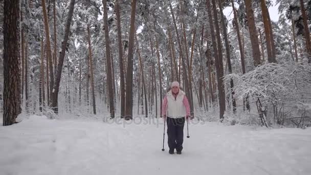 雪に覆われた森の中を離れる前に最後の努力を行い、リラックスしようとして疲れている女性。身に着けている暖かく、自然に留めておきなさい。森の成長スプルース、パイン、バーチ他の木 — ストック動画