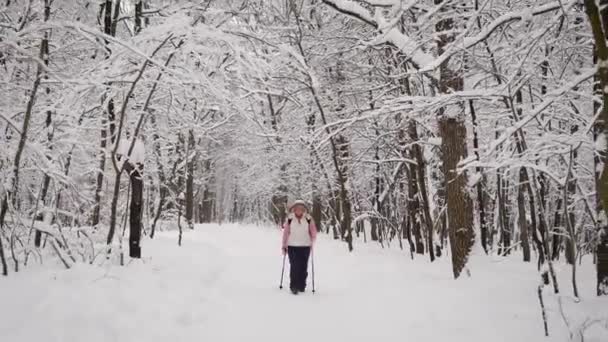高齢者の女性は冬の雪に覆われた木に歩くスポーツの新しい種類に取り組んでいます。北欧、彼女のためのスポーツでアクティブな年金受給者。自分たちの手で特殊な棒で歩く. — ストック動画