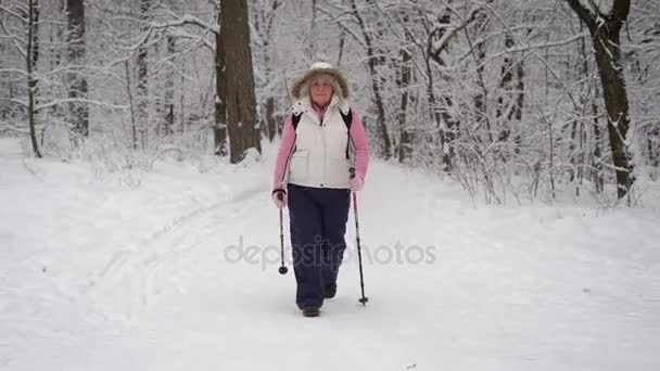 スポーティな大人の女性が自信を持って前に歩いて行きます。フードを身に着けている彼女の頭の上にそれは降雪は最近されているに見えます。暖かい冬のスポーツ ベスト、ピンクのジャケット、手袋、黒のズボンに身を包んだ — ストック動画