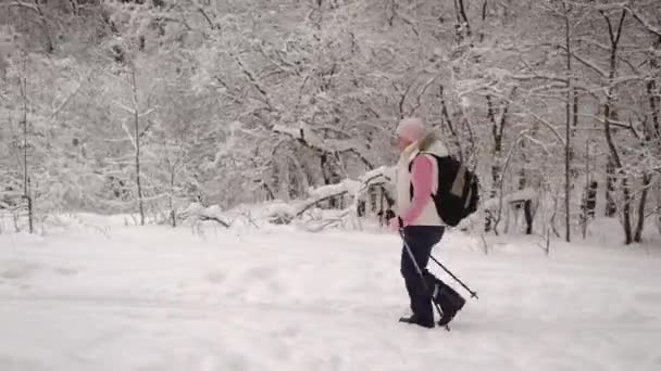 Vista lateral de la mujer activa vestida con chaleco blanco cálido y pantalones negros haciendo nordic walking rápidamente con bastones de esquí en el camino en invierno naturaleza al aire libre, demostrando estilo de vida saludable . — Vídeos de Stock