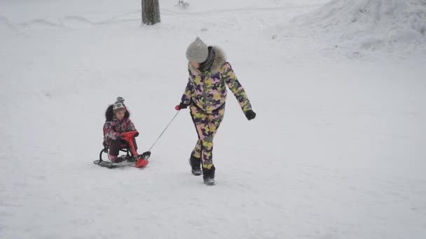 Junge Mutter rollt ihre Tochter auf Schlitten in den Park. Winter aktive Familienfreizeit. niedliche Frau Spaß mit einem Mädchen. — Stockvideo