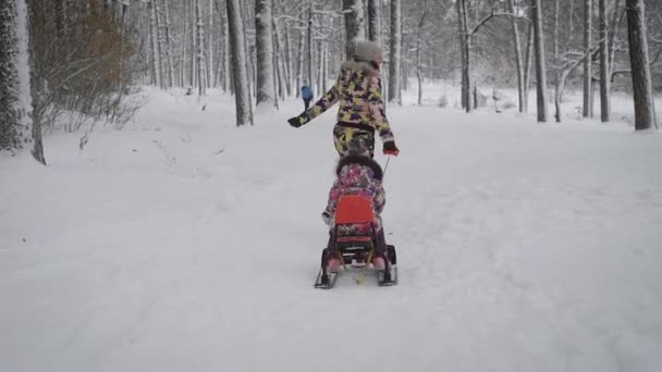 年轻快乐妈妈运行前方对冬季树林中的路径和拉力沿红色雪橇与她里面的小女儿。两姐妹花费他们一起在露天具有活性的节日. — 图库视频影像