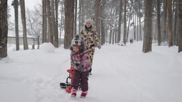 Zimowy spacer w lesie. Dziewczyna z dzieckiem pospacerować po lesie. Dziewczynka przeciągnie specjalne sanie. Dziewczyna idzie za i uśmiecha się. Aby wyjść na zewnątrz to jest bardzo przydatne na spacer — Wideo stockowe