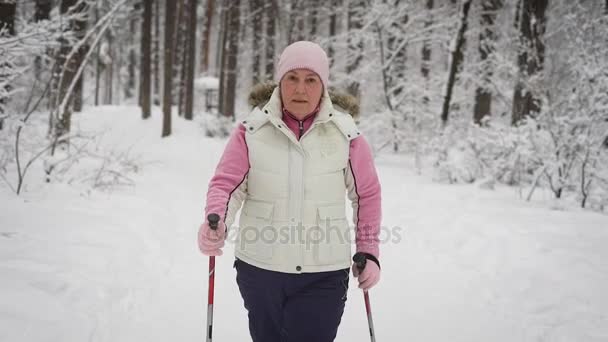 Az idős nő a fa szabadidő tölti. Téli erdő. A nő fizikai aktivitás szintjét támogatja. A nyugdíjas vesz a skandináv lépés. — Stock videók