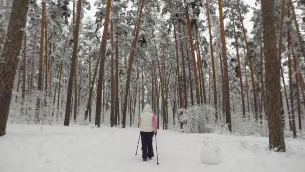 森の中で雪に覆われた道にノルディックウォー キングに従事している高齢者の女性の背面します。スポーツの現代的な形の屋外練習します。トラックのどちら側でも高い針葉樹. — ストック動画