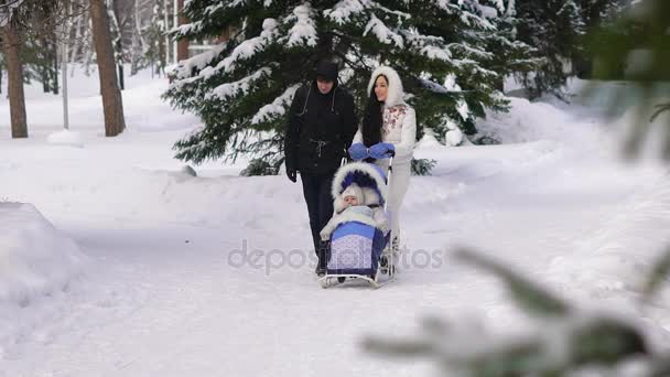 Paseo de invierno. Familia joven caminando en el parque de invierno. Enrolla al bebé en el cochecito. El aire fresco es muy útil para el bebé. Un padre joven hablando con su esposa. Familia grande pasa su tiempo libre — Vídeos de Stock