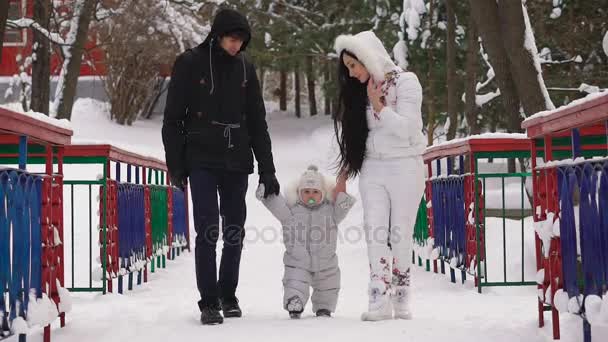 Pai e mãe com seu filho caminham por um beco em um parque de inverno segurando as mãos do bebê. Mamãe corrige uma chupeta para seu bebê. A família passa os fins de semana juntos. . — Vídeo de Stock