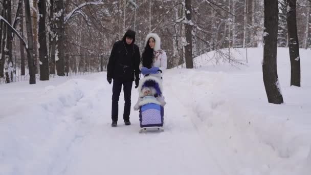 Зимний парк. Пара проводит время с ребенком в парке. Женщина в теплой куртке катает коляску с ребенком. Мужчина с мешком за плечом общается со своей женой. Отличное время для семьи . — стоковое видео