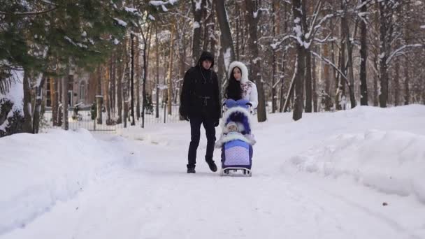 Jovens belos pais vestidos andando no parque coberto de neve com seu filho sentado na carruagem do bebê por esqui. Morena endireita o cabelo e sorrindo. Inverno lazer familiar ativo . — Vídeo de Stock