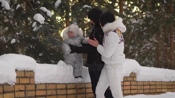 Mladí rodiče, kteří hrají s jeho synem v parku. Dítě dotýkat zasněžené borovice větev. Dítě má svou první zimu. Máma se dívá na svého chlapce a tleskat rukama s radostí. — Stock video