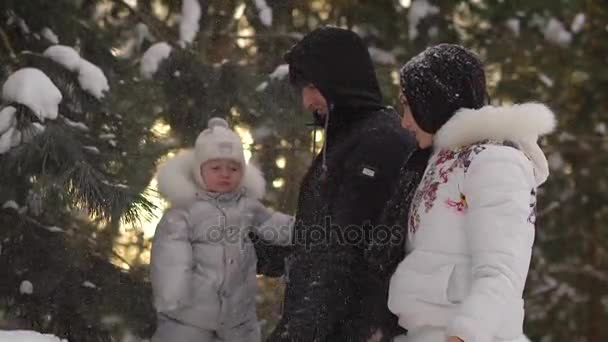 Paseo familiar en invierno. Bosque en invierno el más hermoso. Una pareja joven pasa tiempo con su bebé. El hombre arroja al bebé en la nieve y mirando su reacción . — Vídeos de Stock